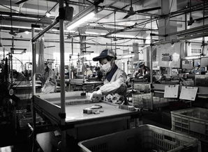 電子廠為何青睞文化較低者？背后真相與文化經紀人的新興服務